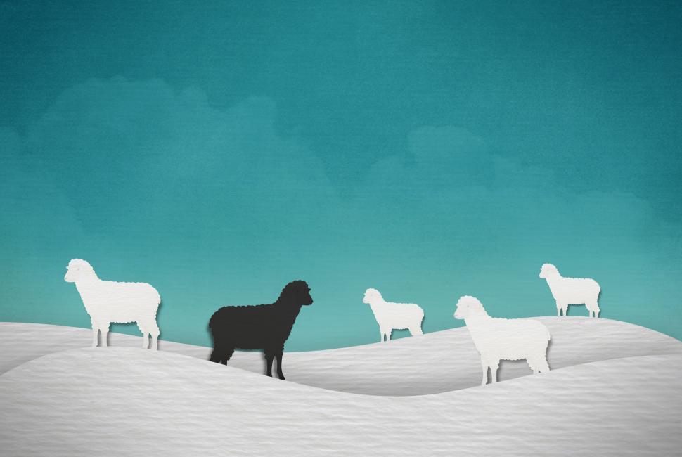 Free Image of Not Belonging - Segregated - Isolated - Black Sheep - Alone 