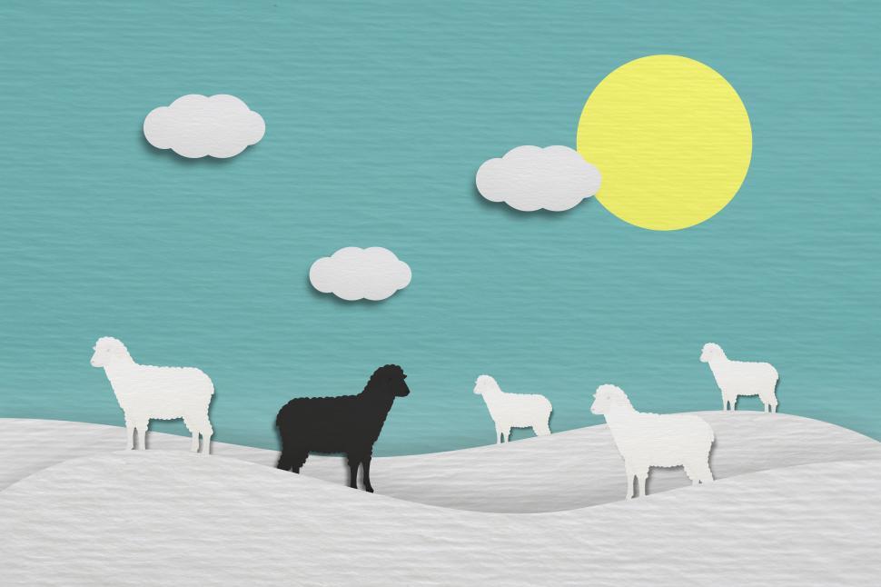 Free Image of Unsuited - Black Sheep - Not Belonging 