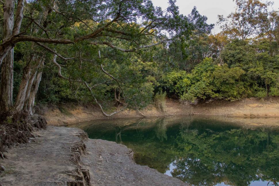 Free Image of beautiful View of Shing Mun Reservoir in Hong Kong  