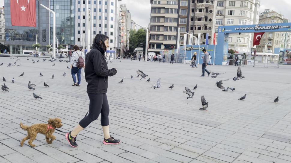 Free Image of Istanbul People  