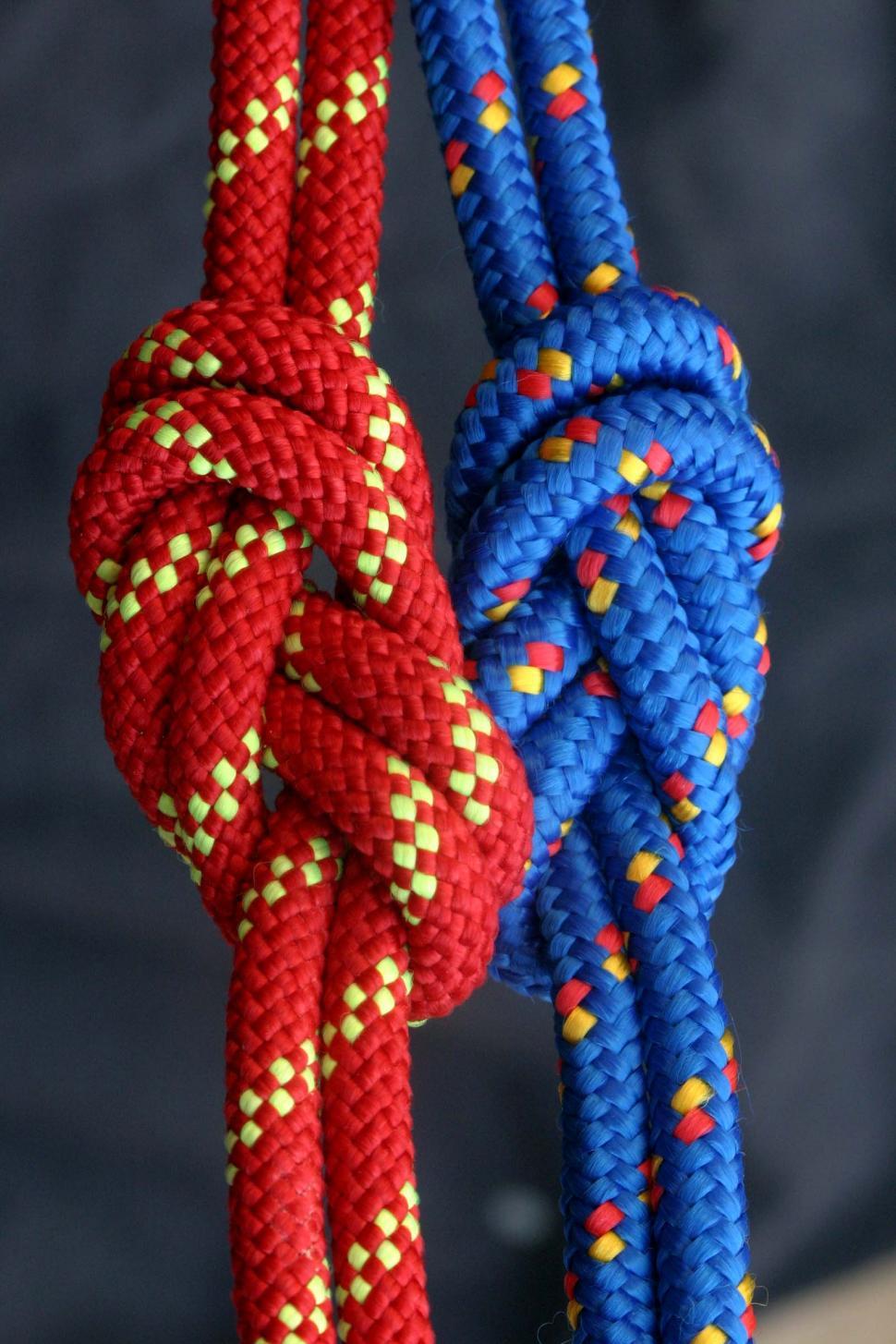 Free Image of Side by side figure eight knots 