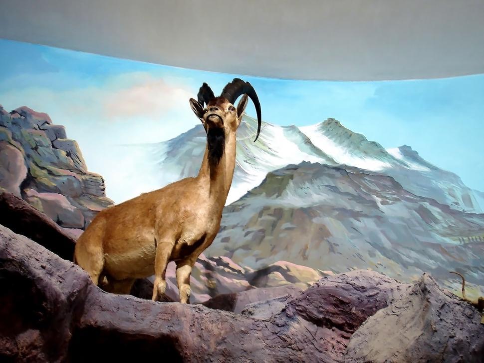 Free Image of Culture and Art in Qom - Diorama 