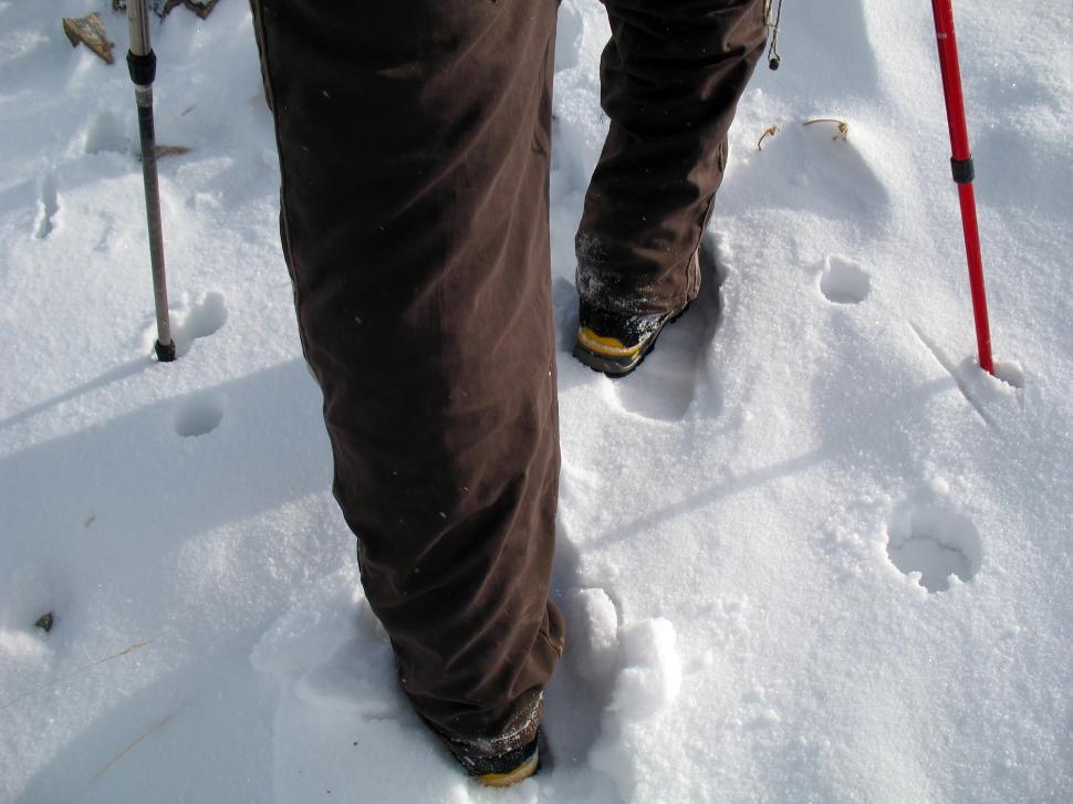 Free Image of Mountaineering sport in Qom  