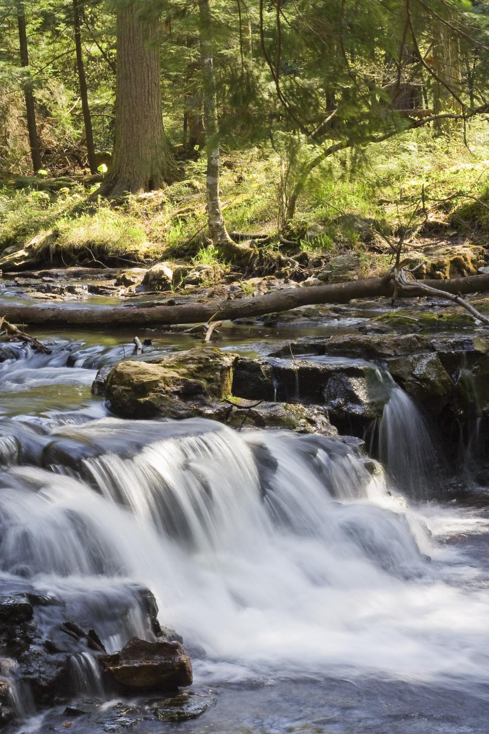 Free Image of Small waterfall creek 