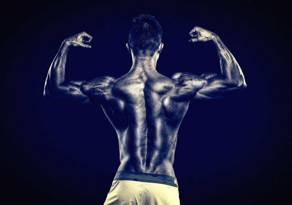 Free Image of Muscular Male - Muscular Torso - Monochrome Noisy Looks 