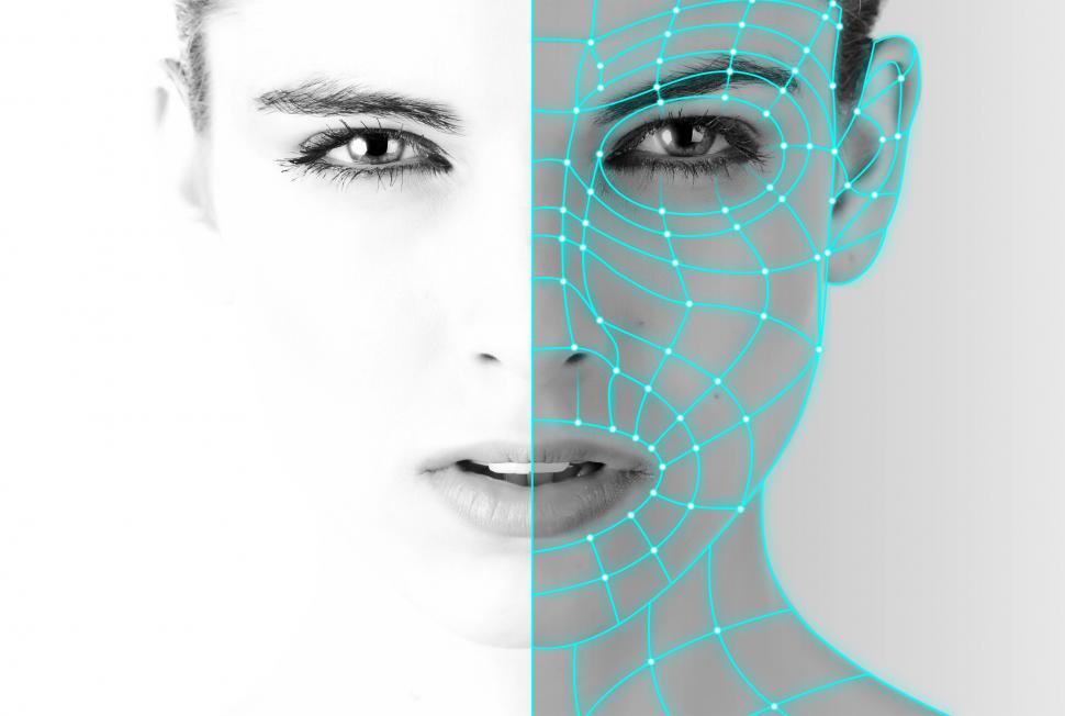 Free Image of Authentication - Biometric Recognition - Woman - Facial Recognit 