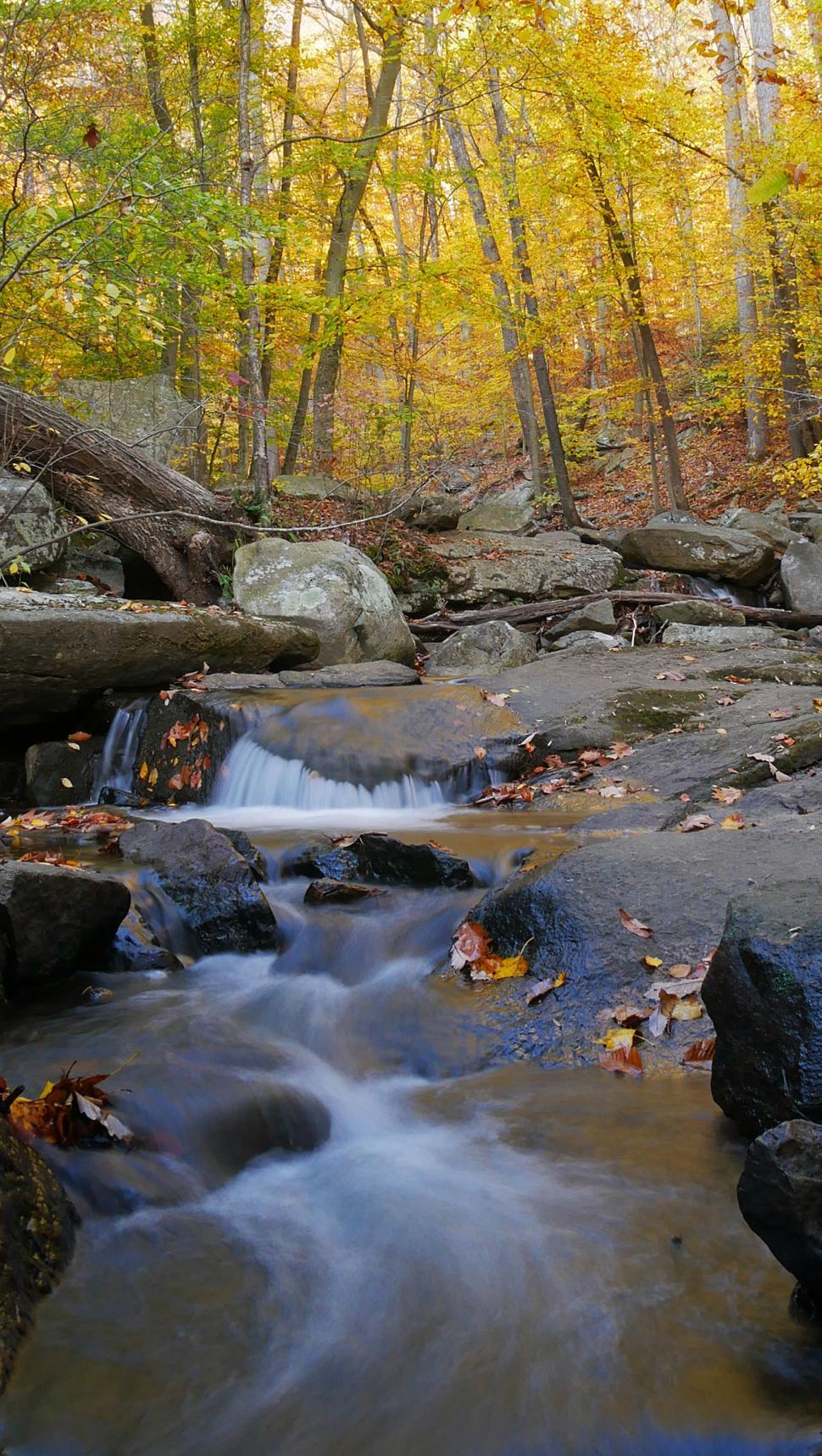 Free Image of Cascade in Forest At Hacklebarney State Park 