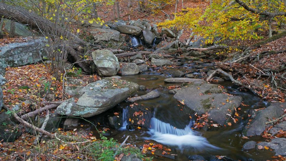 Free Image of Cascade In The Woods 