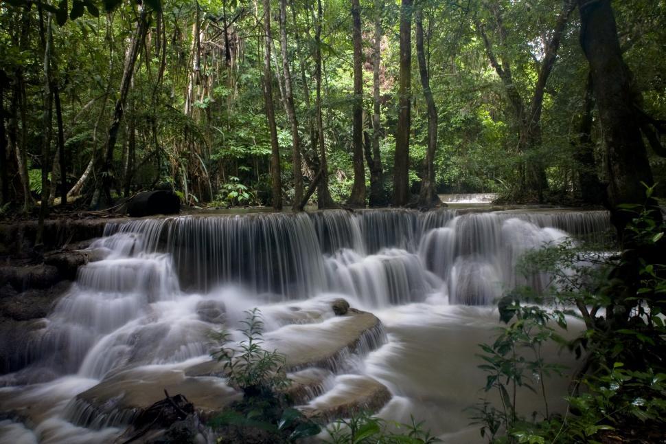 Free Image of A Small Waterfall in the Heart of the Forest 