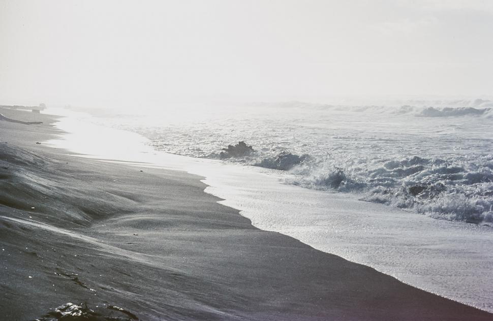 Free Image of Seashore 