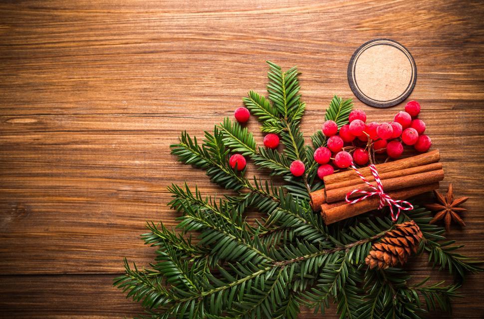 Free Image of Overhead view of pine tree leaves and red berries 