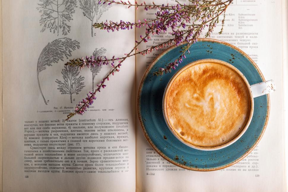 Free Image of Overhead view of a cup of frothy coffee 