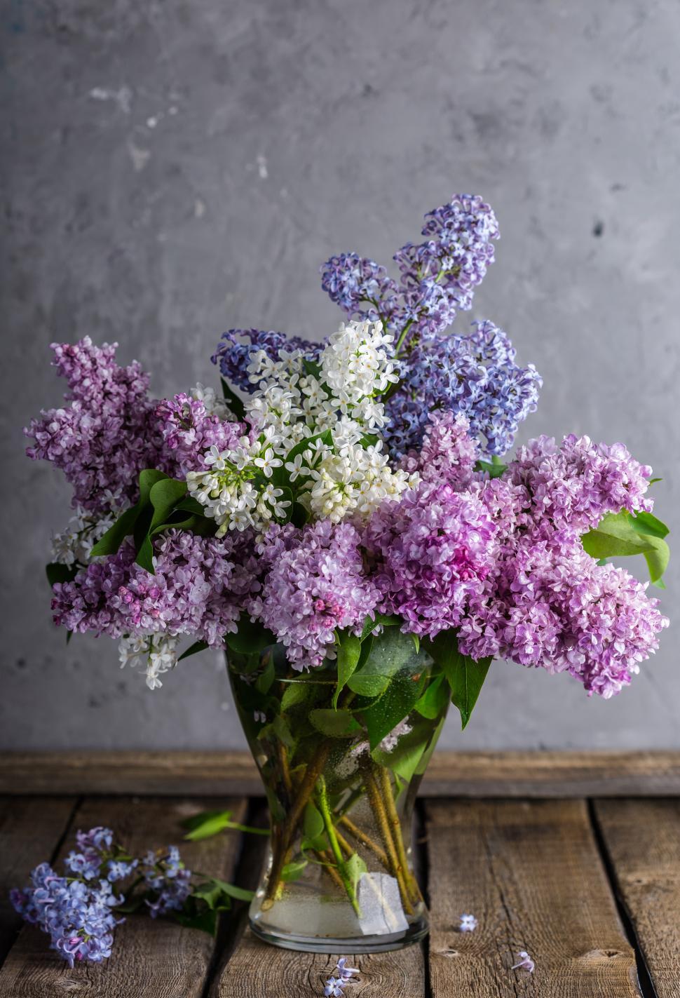 Free Image of Close up of Lilac flowers in a glass vase 
