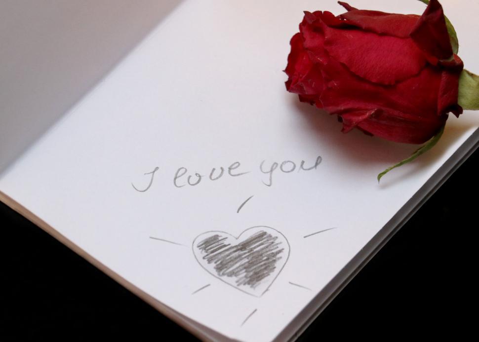 Free Image of I Love you written with Red Rose 