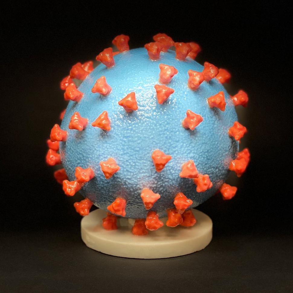 Free Image of Model of Novel Coronavirus SARS-CoV-2 