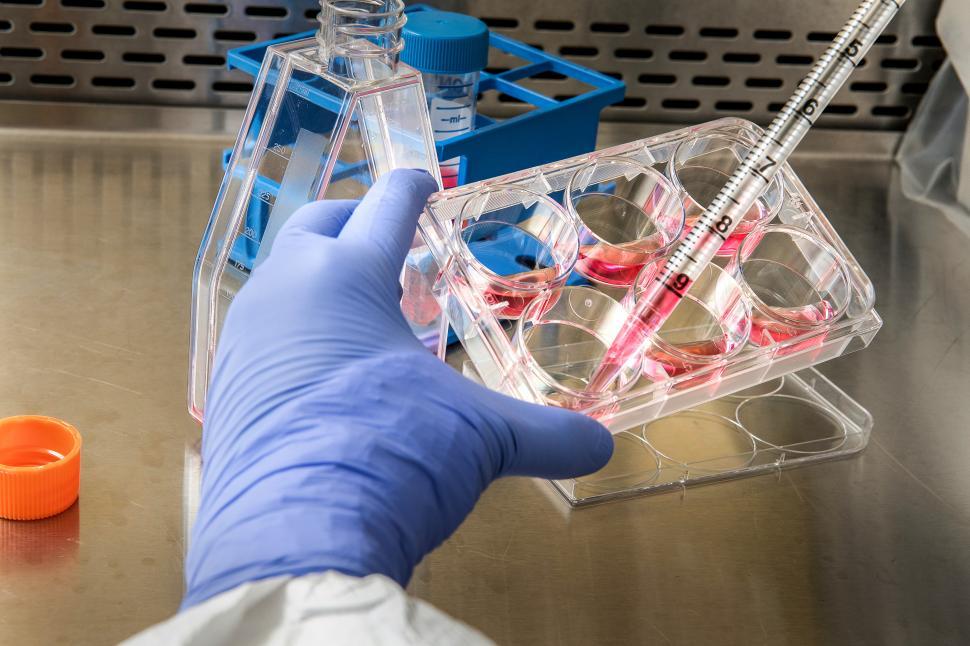 Free Image of Laboratory Testing 