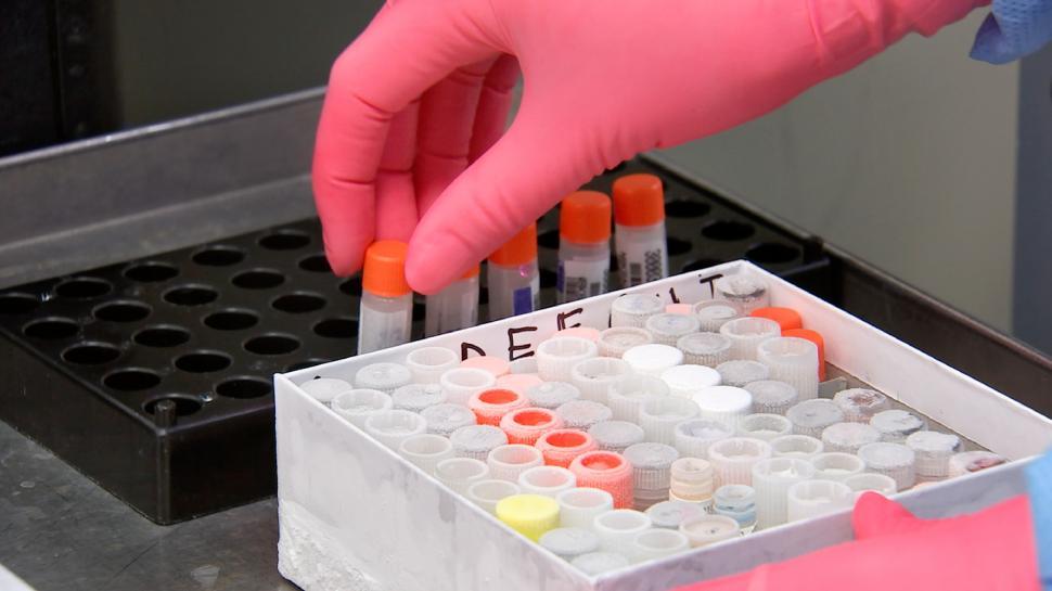 Free Image of Hand with Pink Rubber Gloves Unpacking Samples for Testing 