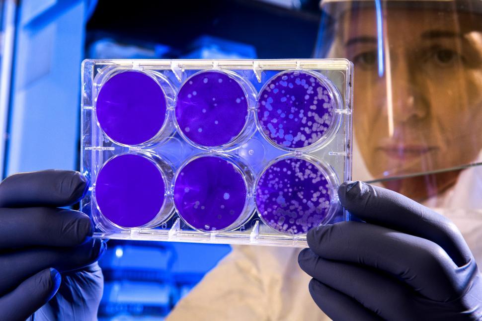 Free Image of Examining lab experiment 