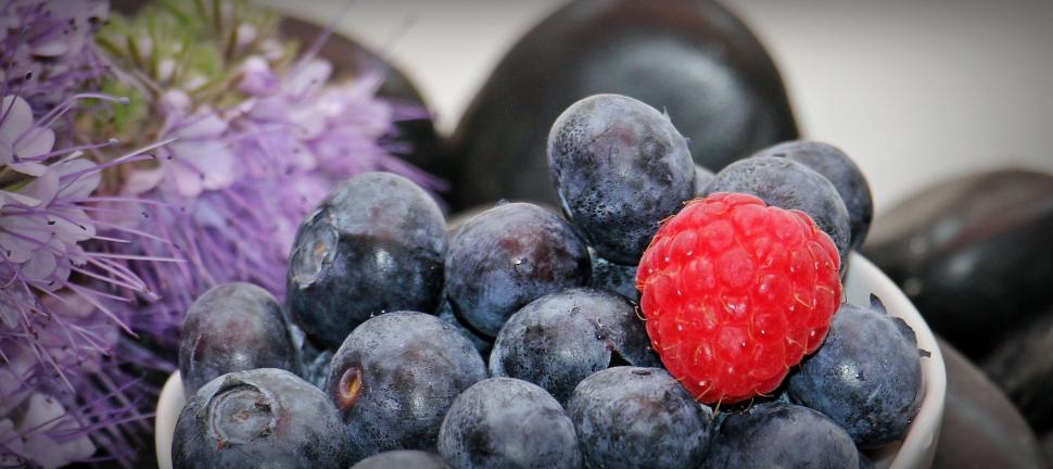 Free Image of Bowl of Berries 