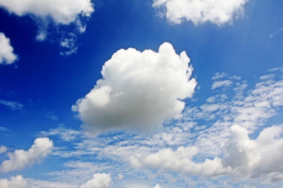 Free Image of Fluffy cloud in mostly blue sky 