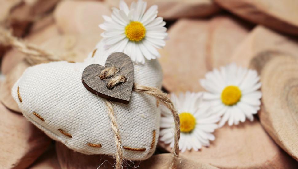 Free Image of Wooden Heart with Daisy flowers 