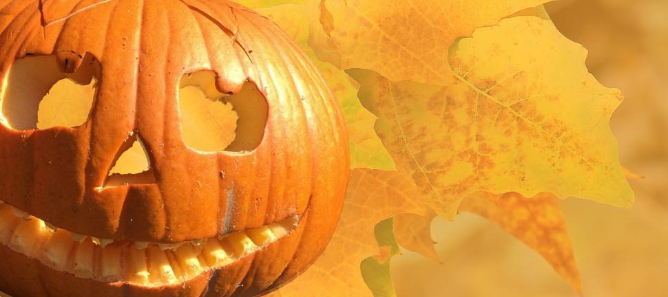 Free Image of Pumpkin background 