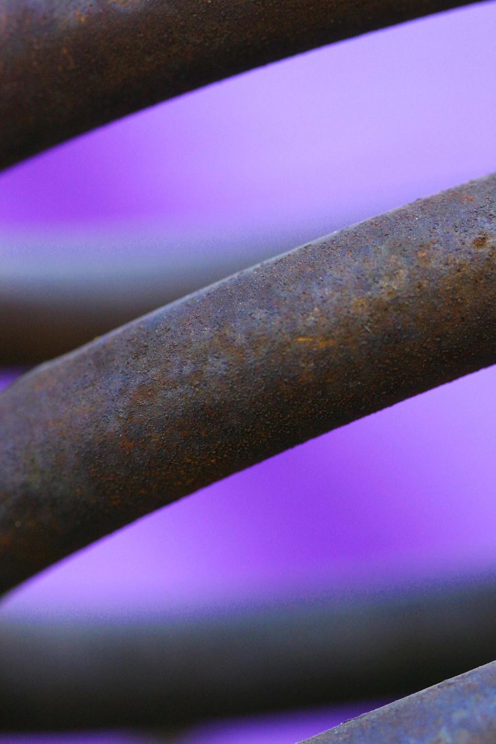 Free Image of Spring Spirals 