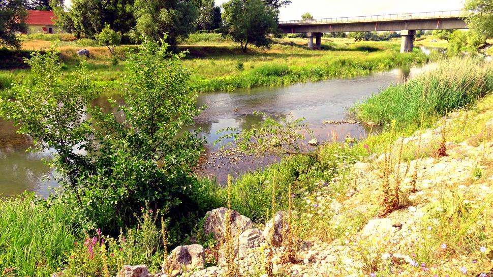 Free Image of Bridge over Crisul Repede river  