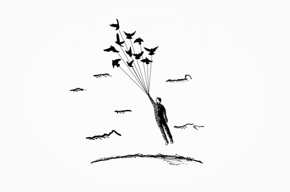 Free Image of Freedom Concept - Flying with the Birds  