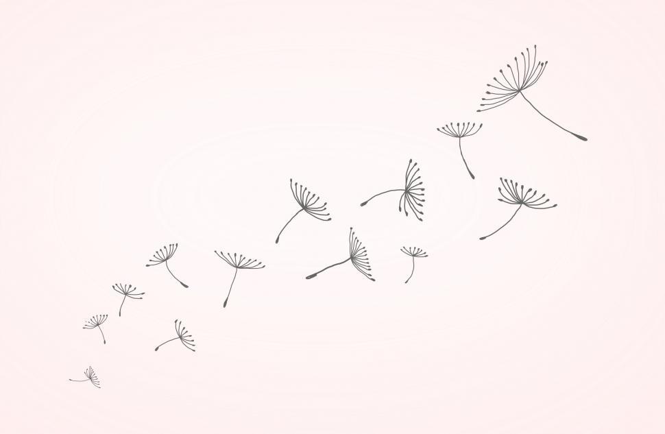 Free Image of Dandelion Seeds in the Wind - Flying Away  