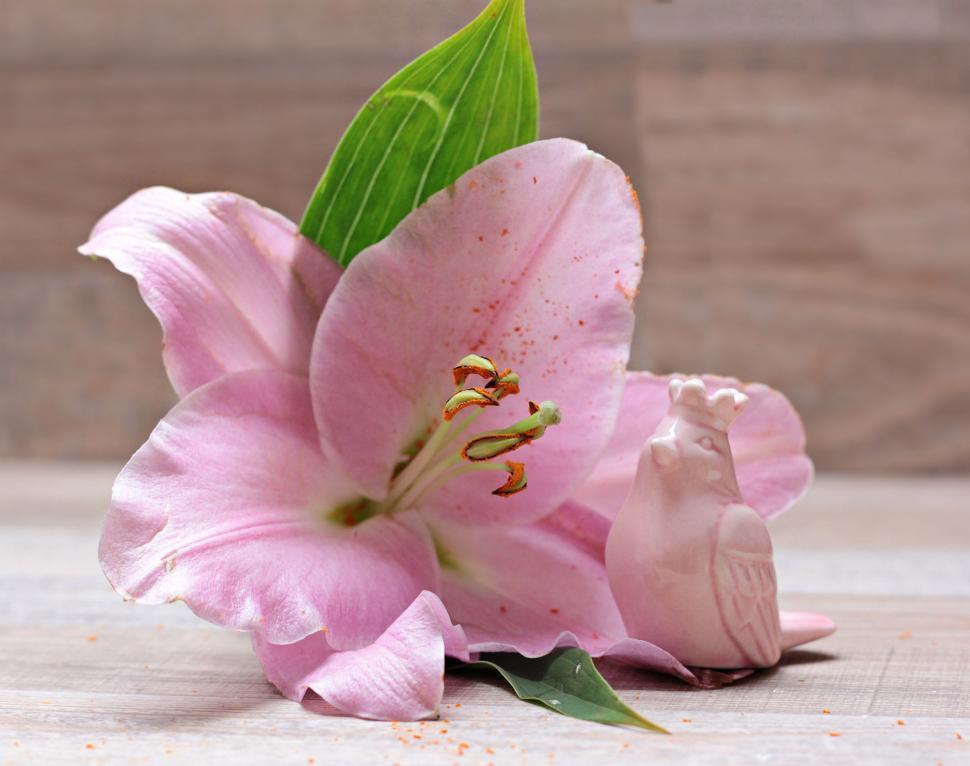 Free Image of Liliy bloom and Ceramic Bird 