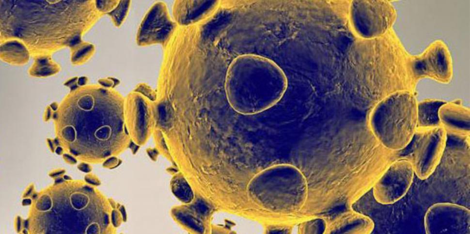 Free Image of COVID-19 Coronavirus Model Illustration 