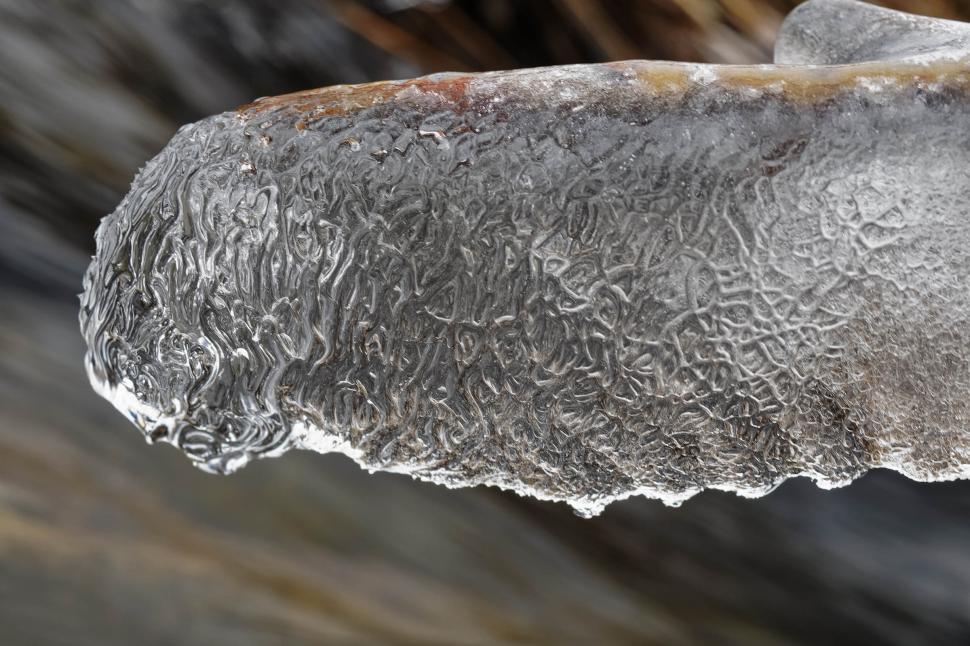 Free Image of Winter stream 