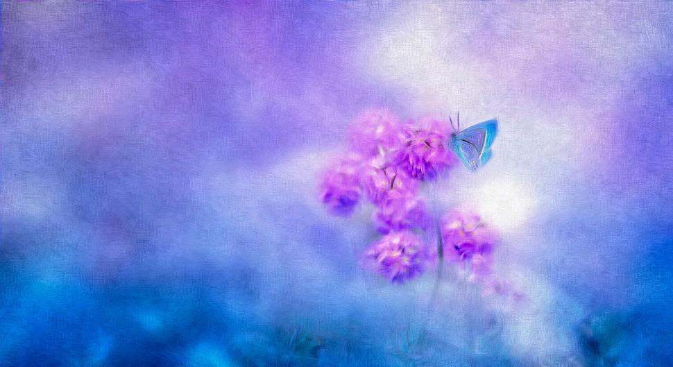 Free Image of Blue Butterfly - Oil Painting on Canvas 
