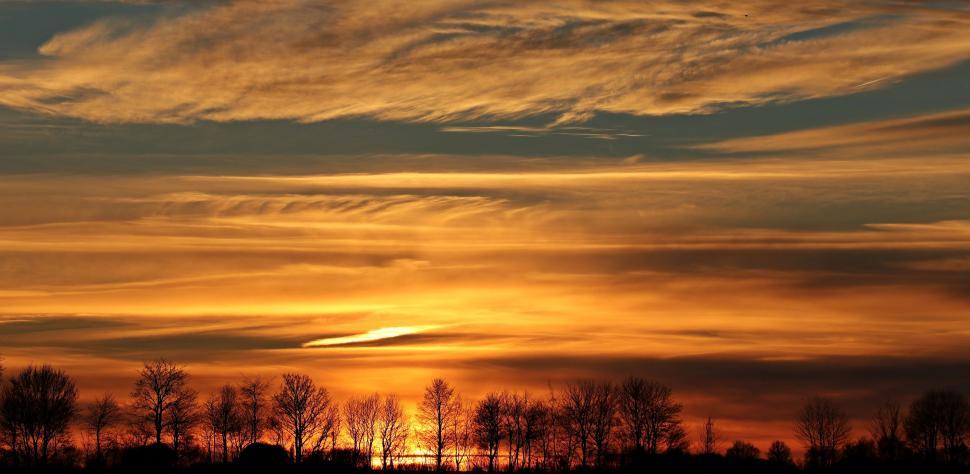 Free Image of Golden sunset over trees 
