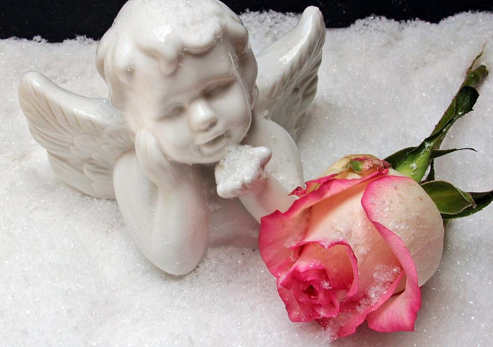 Free Image of Rose and angelic figureine 