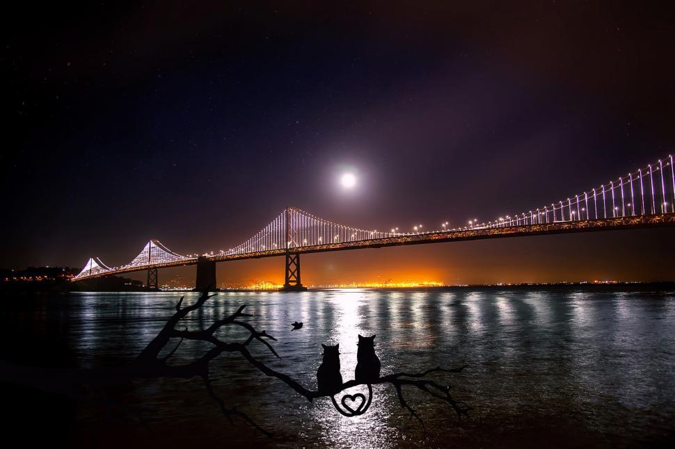 Free Image of Bay Bridge span at night 