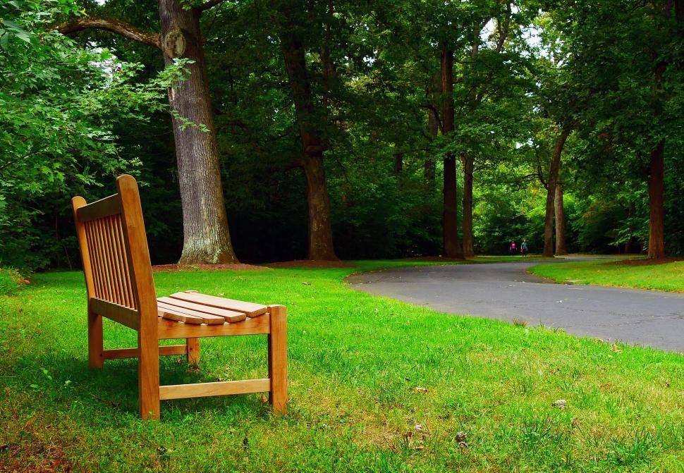 Free Image of Wooden Bench 