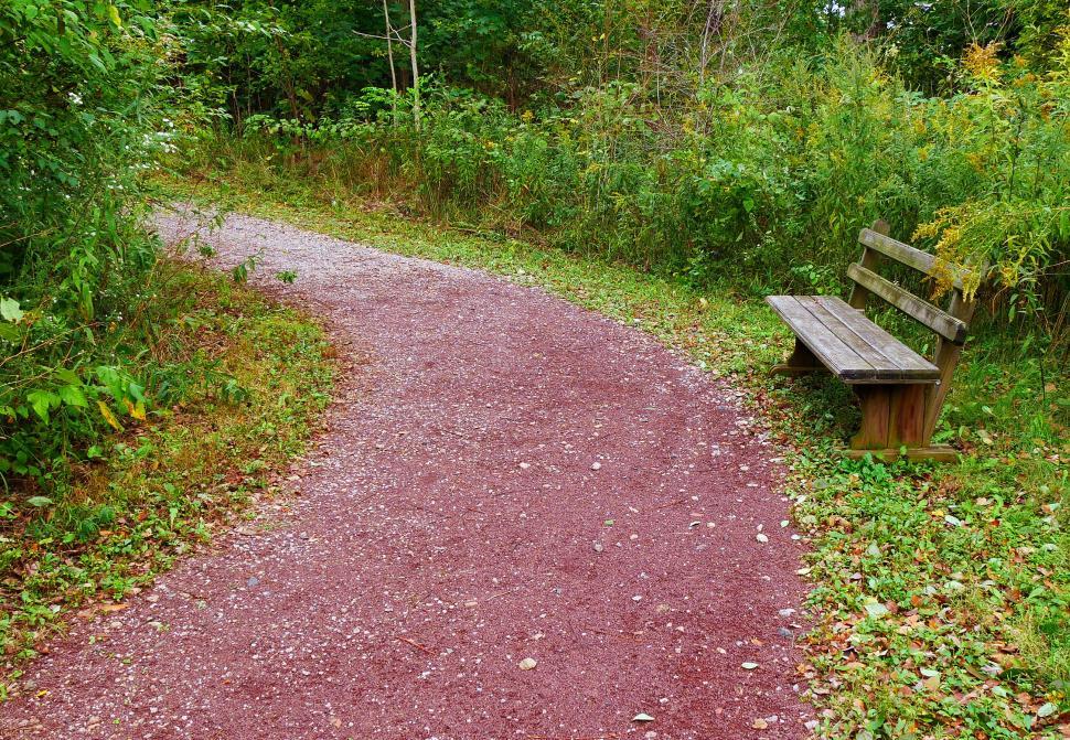 Free Image of Rustic Bench 