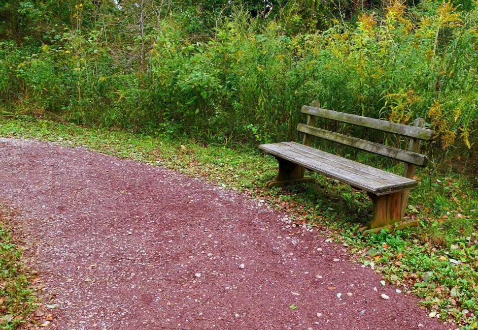 Free Image of Rustic Bench 