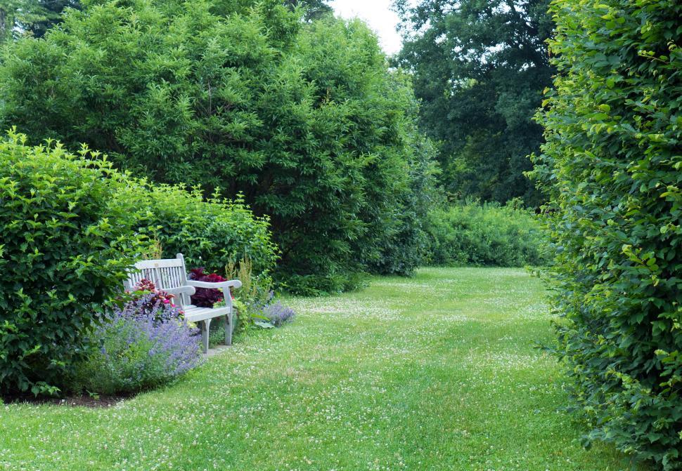 Free Image of Bench on Garden Lawn 