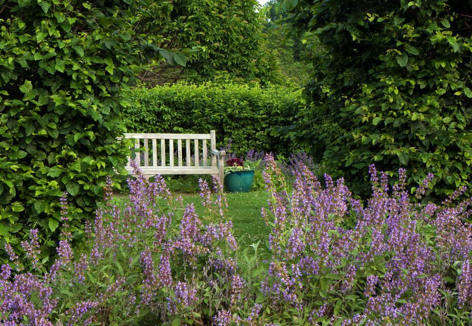 Free Image of Serene Garden  