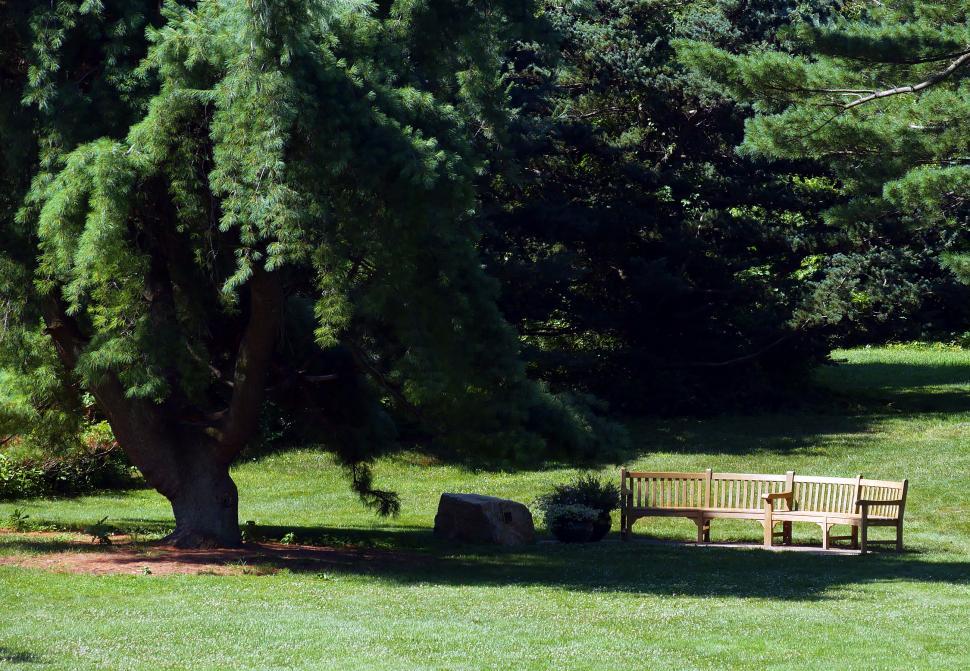 Free Image of Wooden Bench By Rocks 