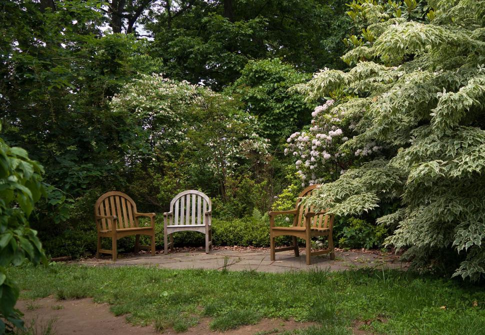 Free Image of Wooden Chairs 