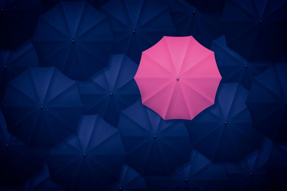 Free Image of Pink Umbrella Contrasting With Black Umbrellas - Be Different -  