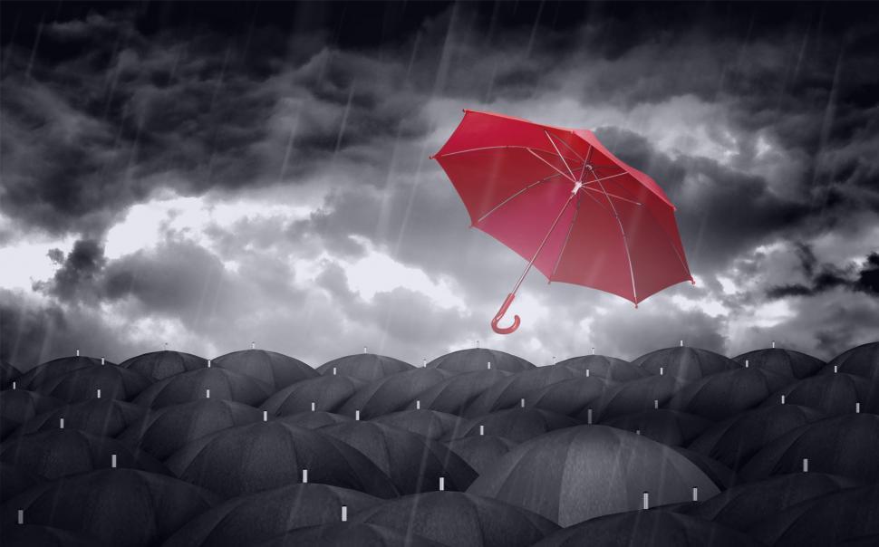 Free Image of Red Colorful Umbrella and Black Umbrellas - Being Different Conc 