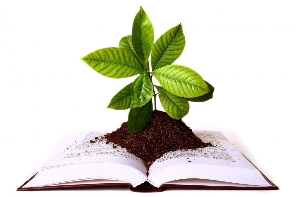 Free Image of green plant growth from book 