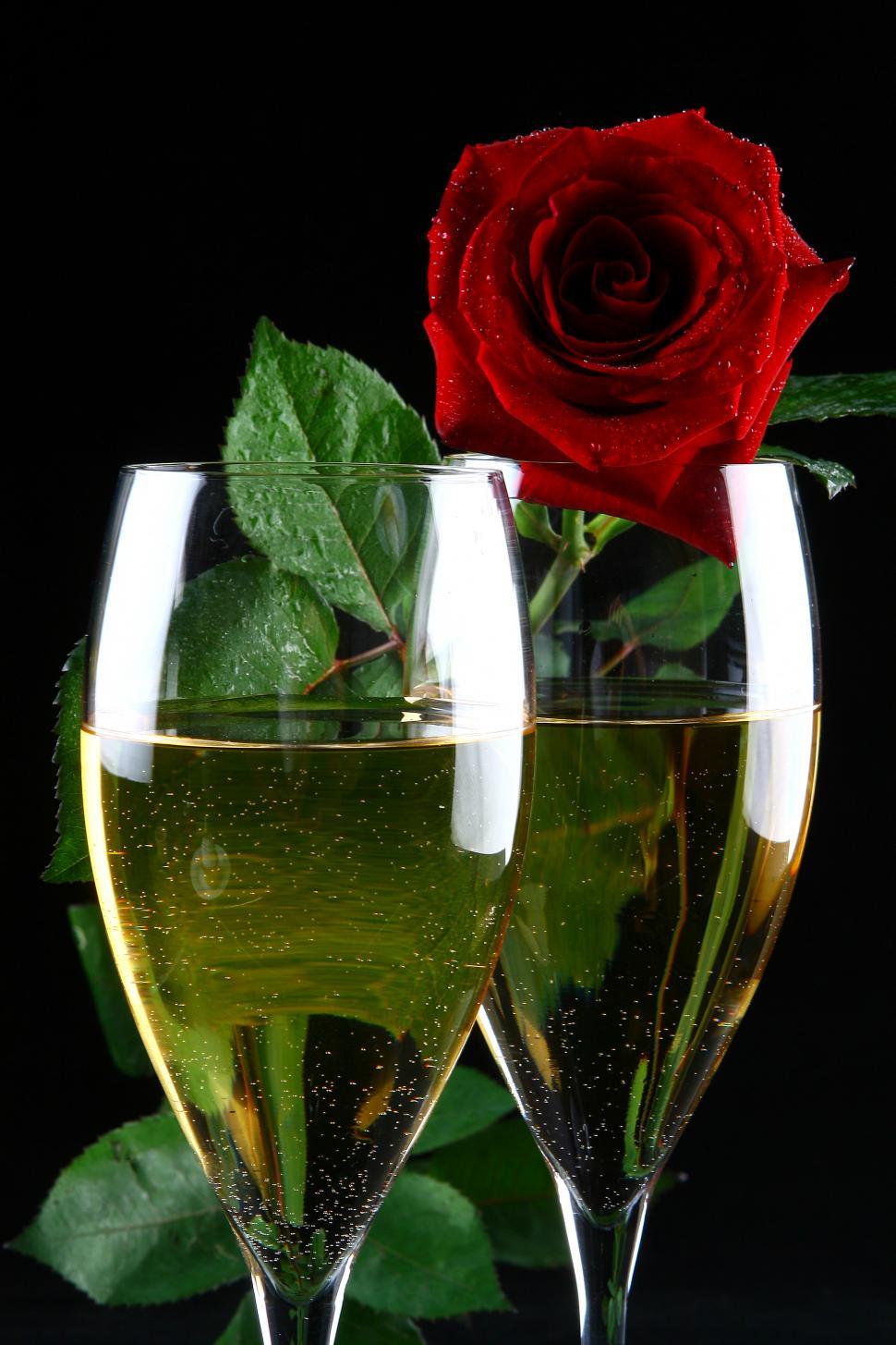 Free Image of two glasses of champagne and rose 