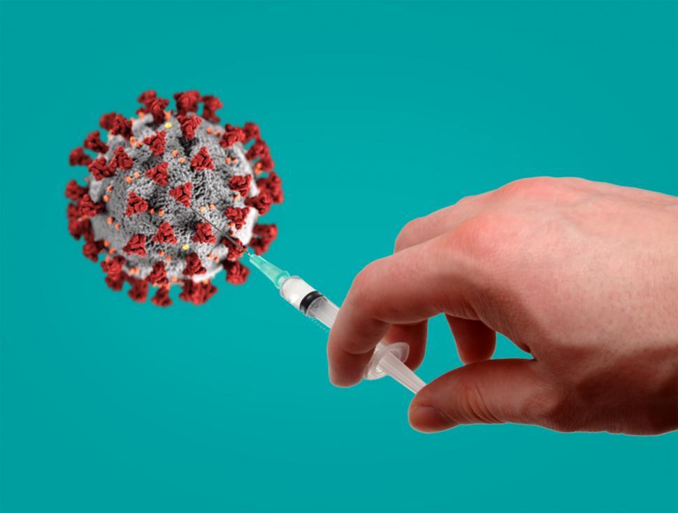 Free Image of Finding a Vaccine - Disease Prevention - Coronavirus - Pandemic 