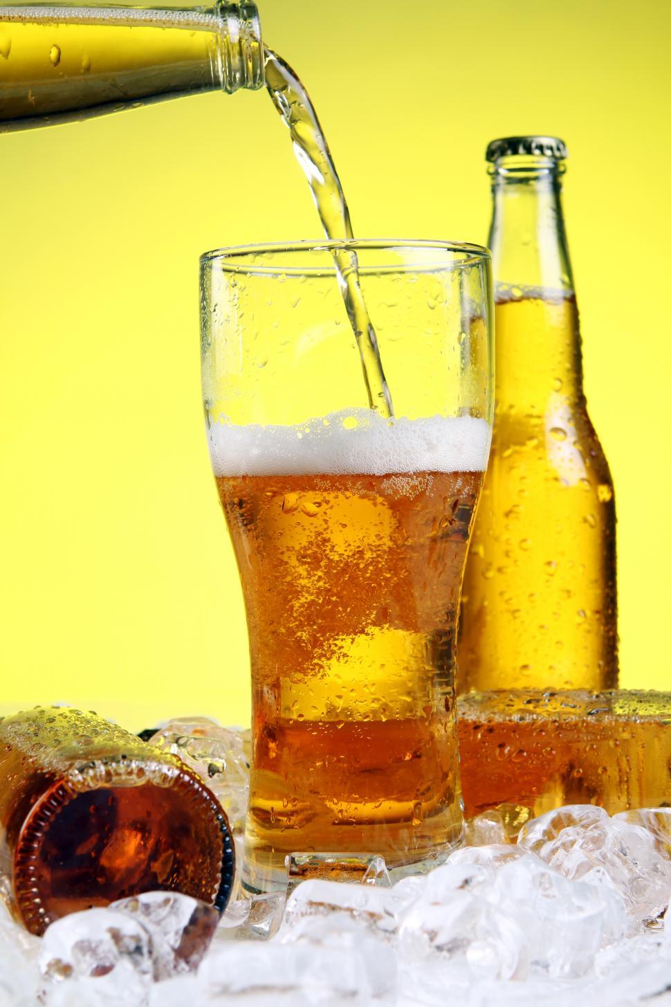 Free Image of Beer is pouring into glass 